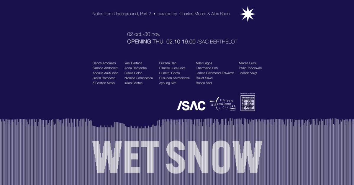 expozitie-internationala-de-grup-wet-snow-sac-berthelot-1