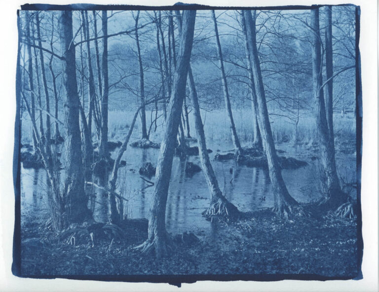 Copy-of-Scan-1_Taani