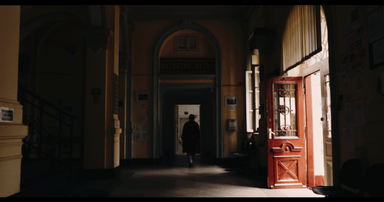 Schermata 2024-05-29 alle 11.37.31