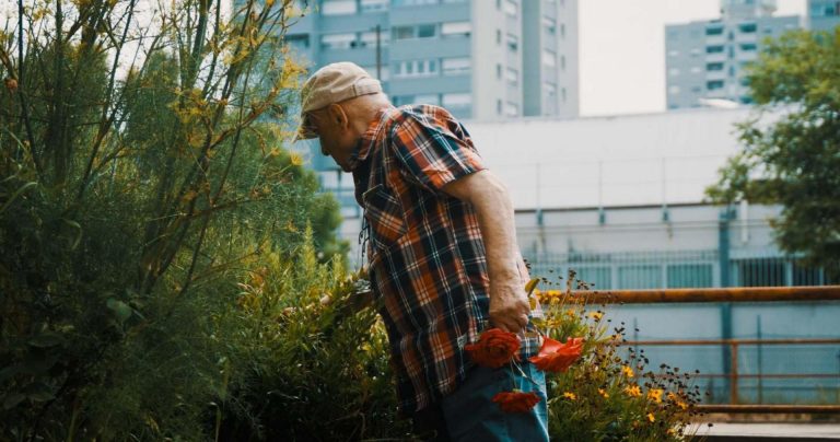 il-pilastro-04-69a848a072ceb291958608